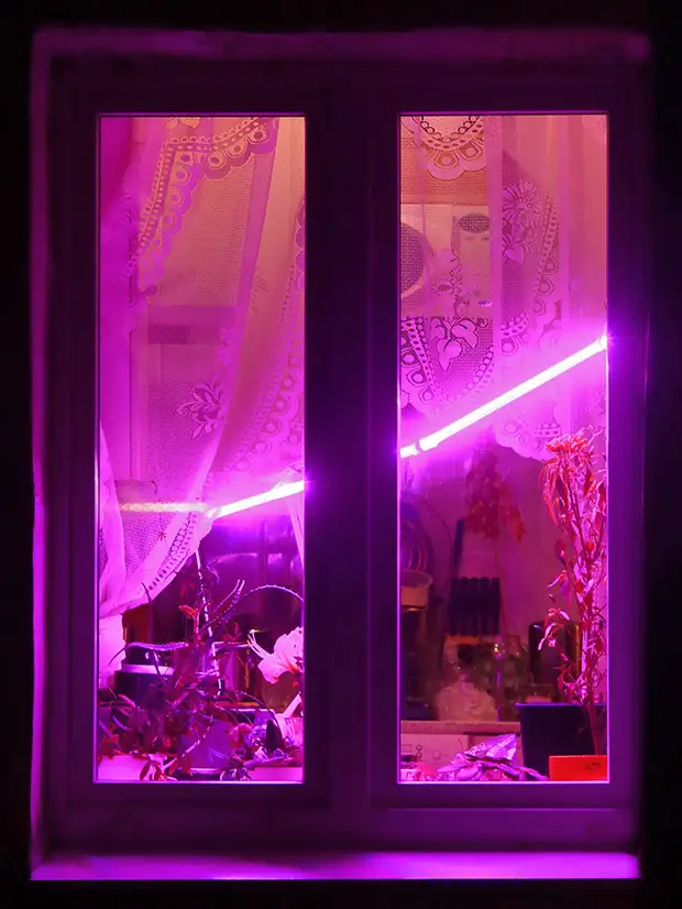 Фиолетовые Окна