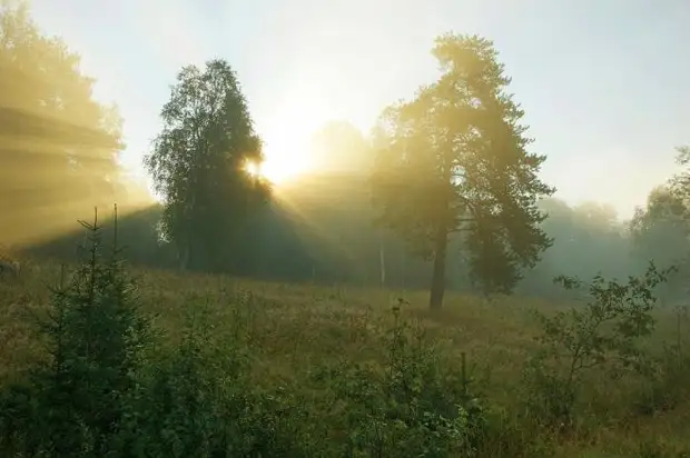 Вепсский лес Вепский лес, Ленинградская область, природа, туризм