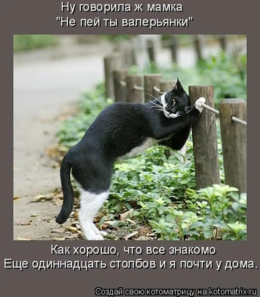 Ржачные картинки про пятницу