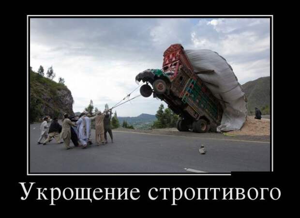 Укрощение строптивого демотиватор, юмор