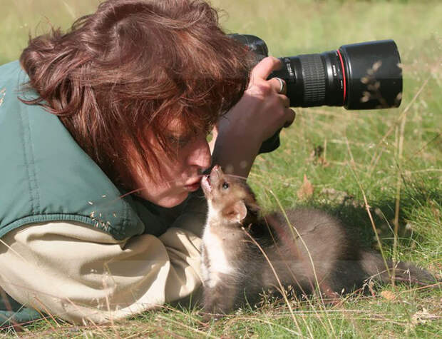 Животные, которые неравнодушны к фотосъёмке
