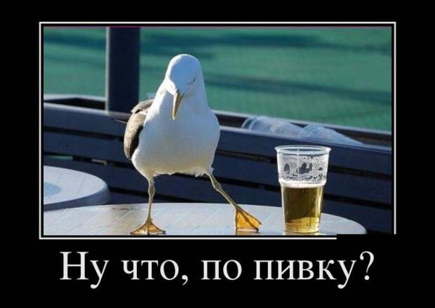 Демотиваторы (30 фото)