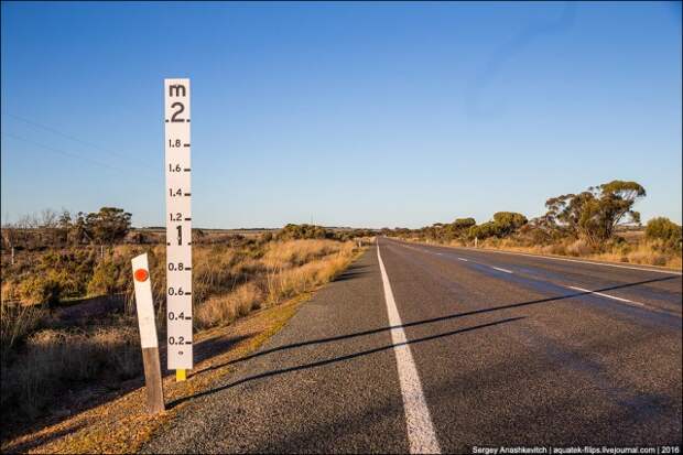 Зачем на австралийских дорогах ставят двухметровую линейку авто, дорога, линейка, факты