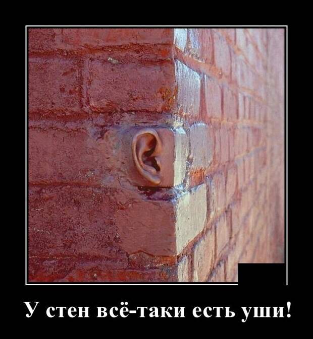 Демотиваторы (30 фото)
