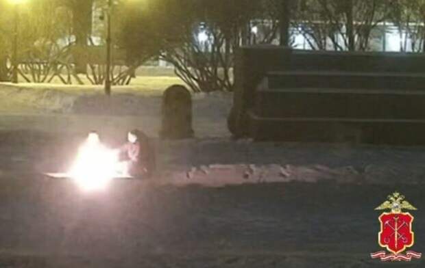 МВД: полиция задержала подозреваемого в тушении Вечного огня на Марсовом поле