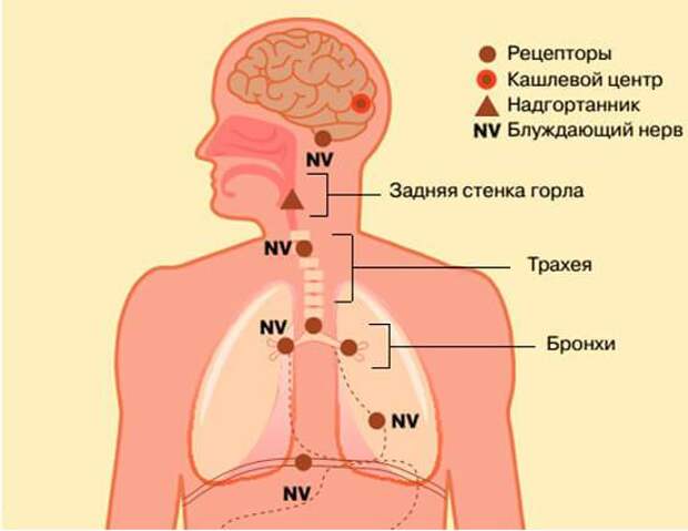 Методика Юрия Вилунаса избавления ОТ ДИАБЕТА Методика Юрия Вилунаса избавления ОТ ДИАБЕТА