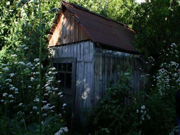 Организатора нарколаборатории в самарской деревне отправили в колонию на 15 лет