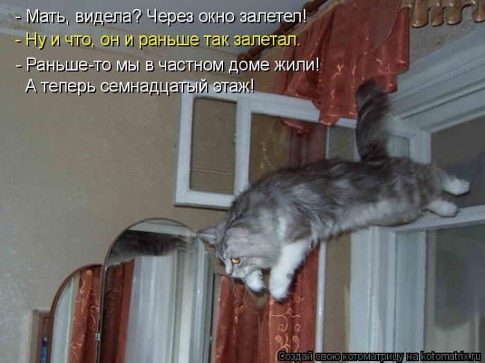 Мысли вслух :)