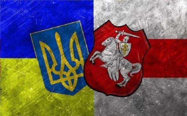 Порошенко и Лукашенко обсудили урегулирование ситуации на Донбассе