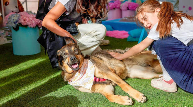 Гости мероприятия «Моспитомца» познакомятся с животными из приютов