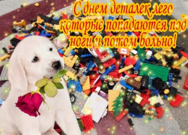 10 упоротых открыток с поздравлениями из WhatsApp