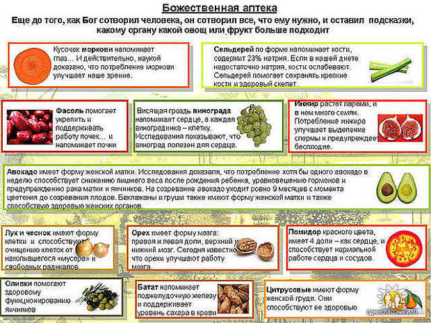 http://fifira.ru/sites/default/files/fotogalereia/5u_95_5u.jpg