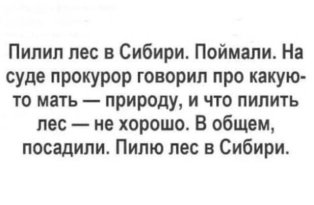 20 классных анекдотов и шуточек и всяких забавностей в картинках для чудесного настроения