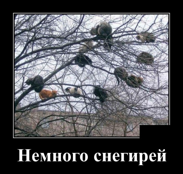 Демотиваторы (30 фото)