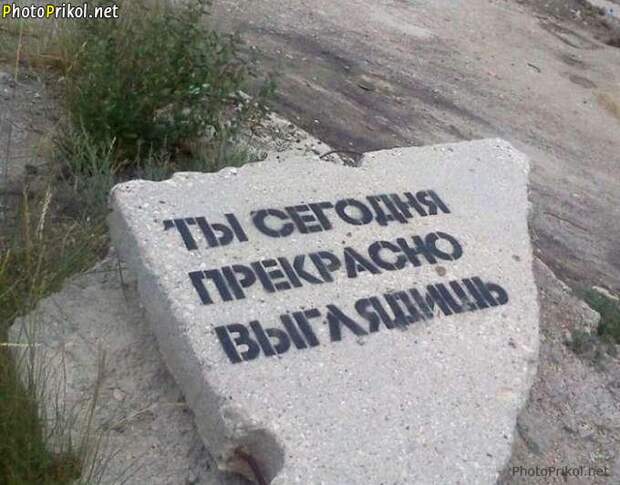 Картинки по запросу фото приколы с надписью