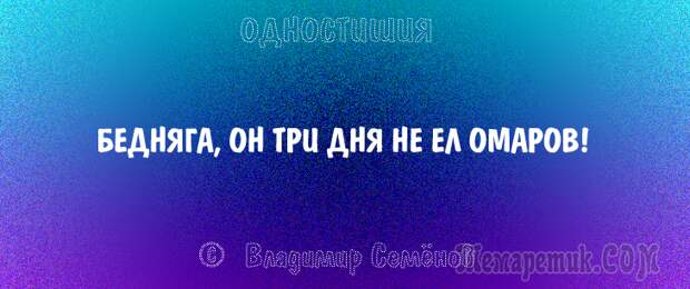 Одностишия, подтверждающие, что краткость – сестра таланта