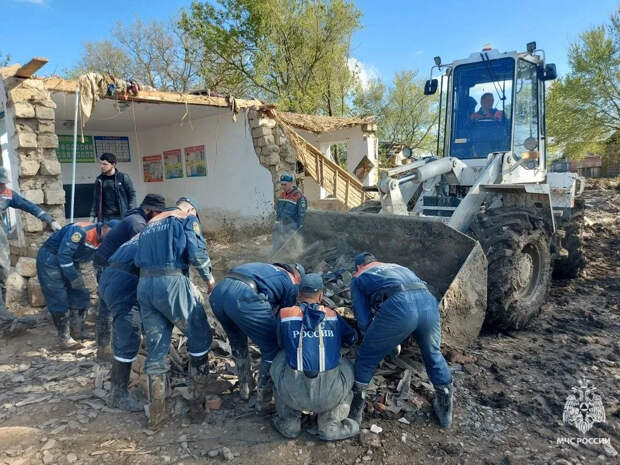 Миссия с хвостиками: тульские спасатели помогли вытащить котят во время разбора здания в Дагестане