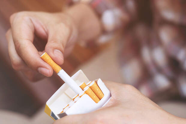 Метелев: за курение в неположенных местах предлагается штрафовать на 5 тыс. руб