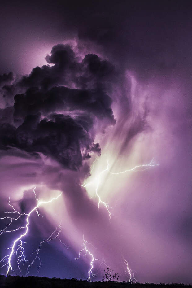 30 фотографий с фиолетовым настроением
