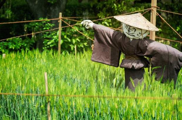 Подборка самых необычных, красивых и в то же время жутких огородных пугал современности Подборка самых необычных, красивых и в то же время жутких огородных пугал современности