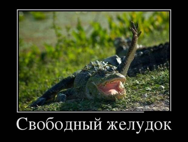 Демотиваторы (30 фото)