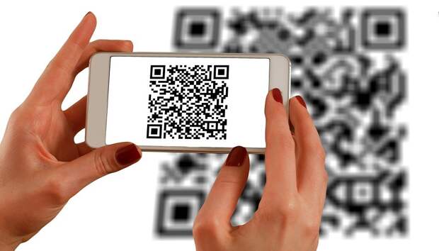 Выпускникам в Петербурге выдали аттестаты с ошибочными QR-кодами