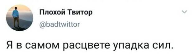 Подборка забавных твитов обо всем