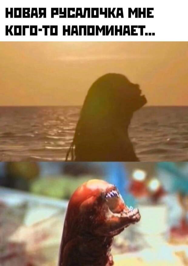 Мемы и картинки 