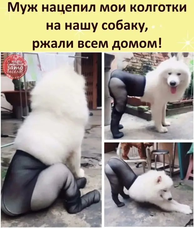 Вот есть передача Вот есть передача