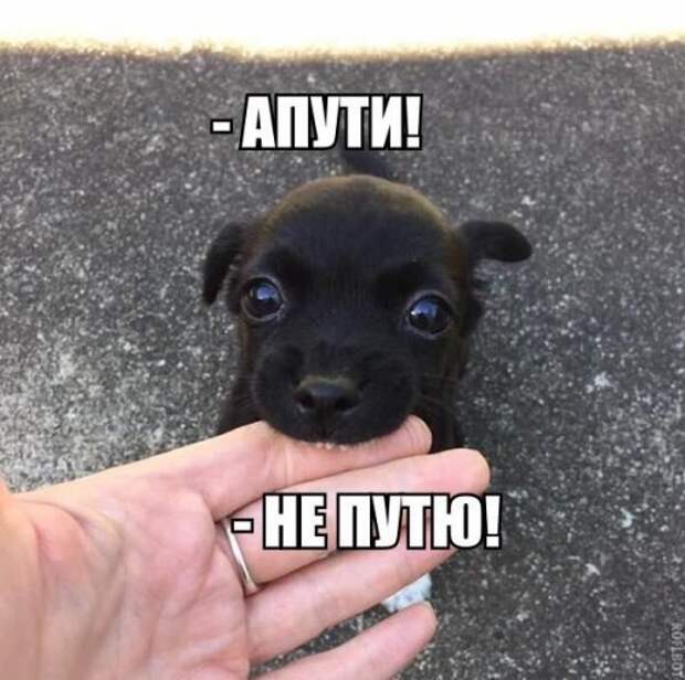 Новые прикольные фотомемы (30 шт)
