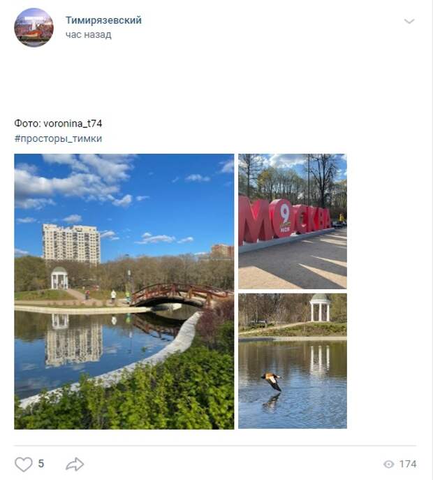 Фото дня: прогулка в парке «Дубки»