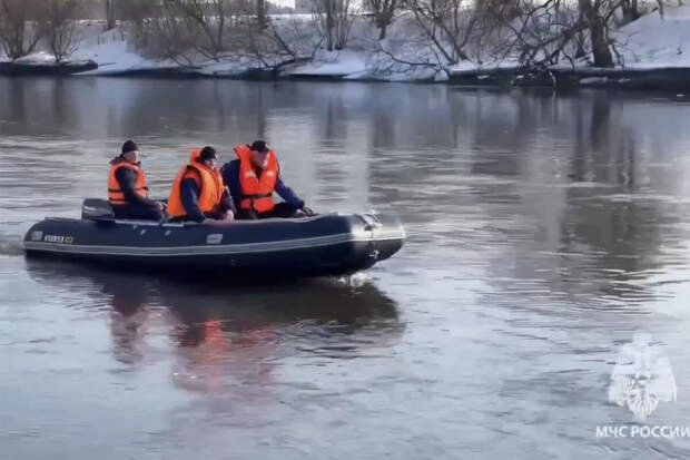 SHOT: тело пропавшей в Звенигороде девочки нашли в 10 км от места пропажи
