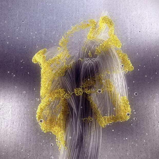 Цифровые картины Адама Мартинакиса