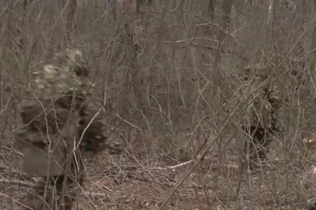 Марочко назвал места самых ожесточенных боев в Запорожской области