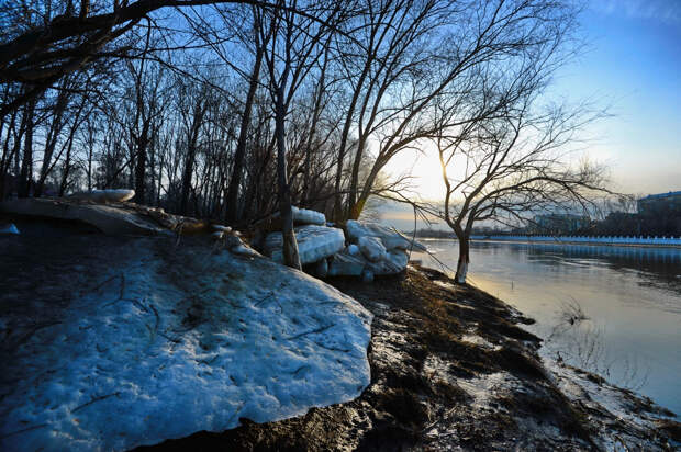 Весна сошла с ума: в Подмосковье побиты температурные 100-летней давности