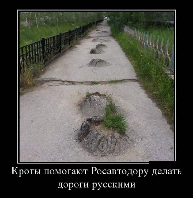 Демотиваторы - 993 Демотиваторы - 993