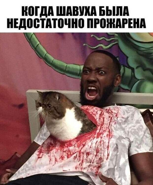 Хорошие свежие мемы (четверг)