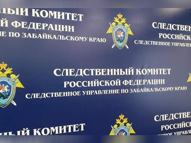 Бастрыкин потребовал доклад по делу о нарушении жилищных прав семьи в Шилке