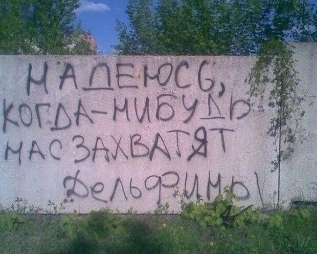 Колкий юмор (34 фото)