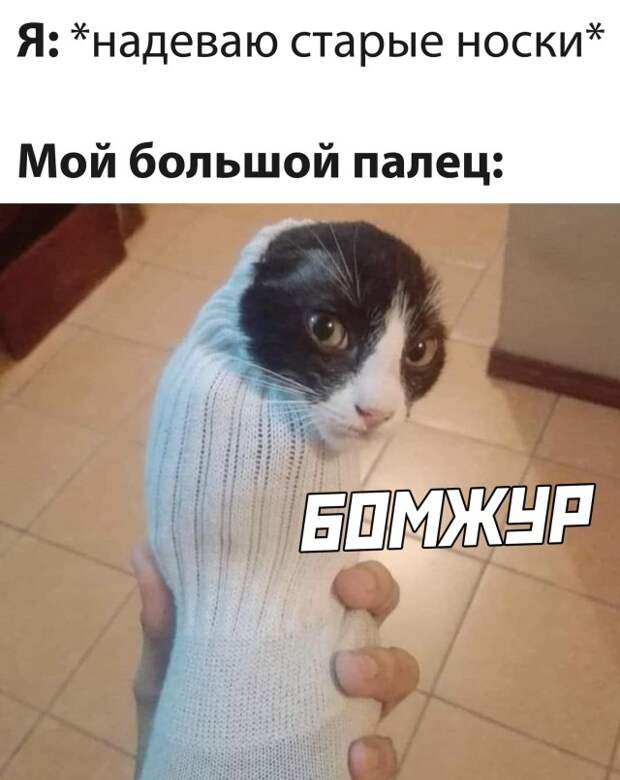 Смешные фото вечер 17 декабря 2020