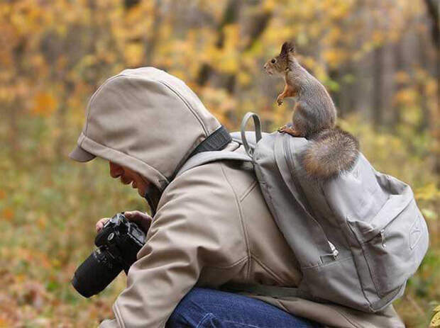 Животные, которые неравнодушны к фотосъёмке