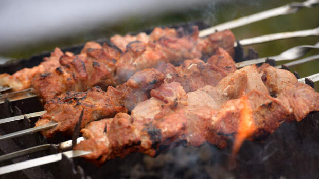 Россиян научили жарить шашлык