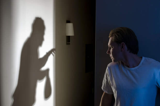 Ребенок открыл дверь мошенникам, похитившим $95 тыс. и 6 млн рублей