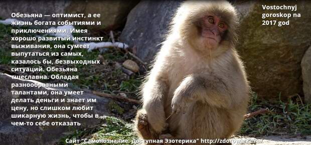 Vostochnyj goroskop na 2017 god