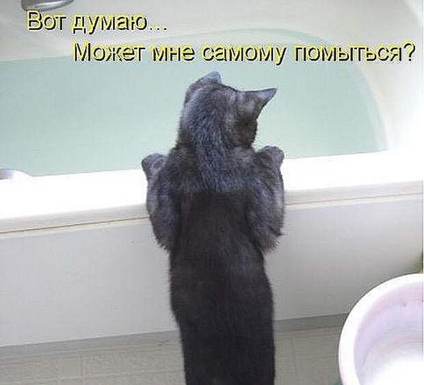 1f797b5979fcac8d5b952256fcb