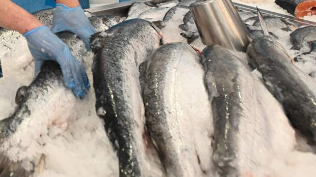 Как распознать свежую рыбу и не ошибиться с выбором продукта для новогоднего стола