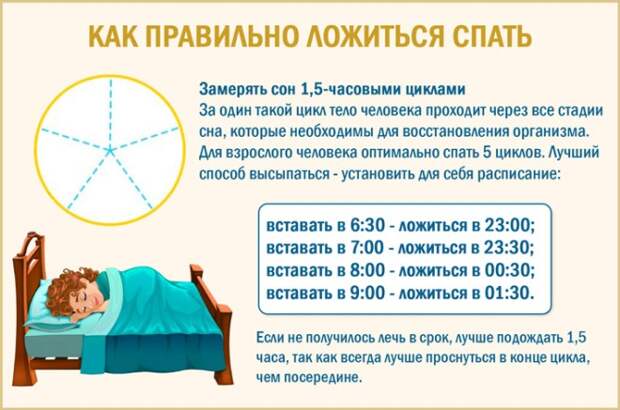 Во сколько нужно ложиться спать