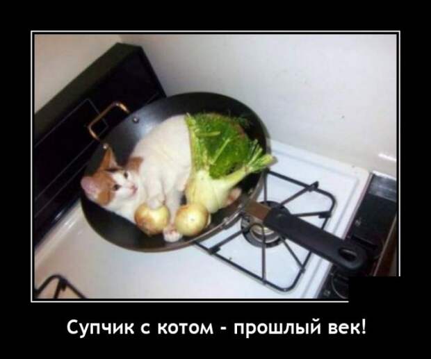 Демотиваторы 12 июля 2021