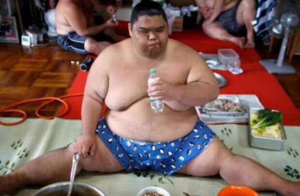 Видео: сумо и его темная сторона, о которой многие даже не догадываются Видео: сумо и его темная сторона, о которой многие даже не догадываются