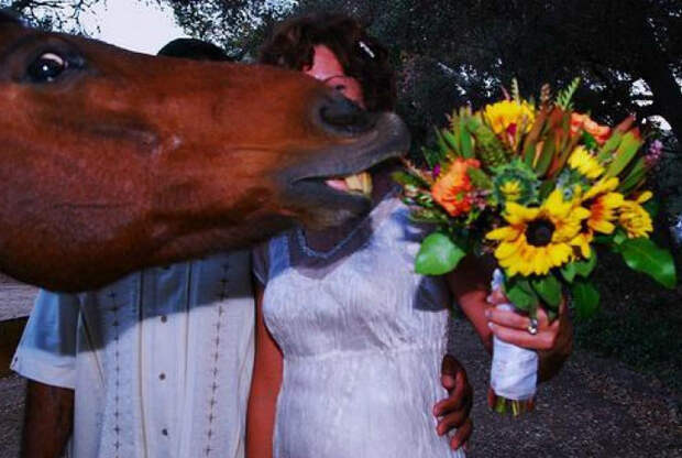 Уморительные свадебные фотографии, на которых все пошло не по плану 9weddingceremony - Уморительные свадебные фотографии, на которых все пошло не по плану